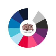 Colour wheel for Winter Colour Season with a vintage caravan illustration in the centre on a white background